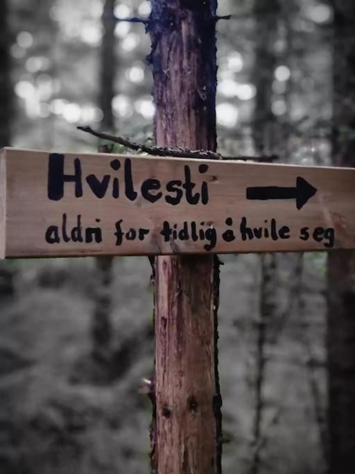 莱旺厄尔 Treetop Ekne - Hytte I Skogen Med Hengebru酒店 外观 照片