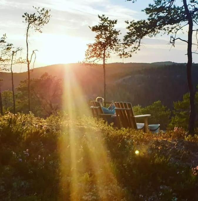莱旺厄尔 Treetop Ekne - Hytte I Skogen Med Hengebru酒店 外观 照片