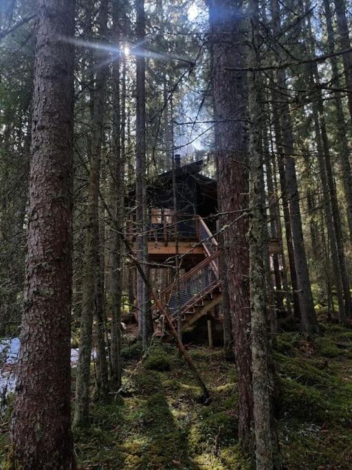 莱旺厄尔 Treetop Ekne - Hytte I Skogen Med Hengebru酒店 外观 照片