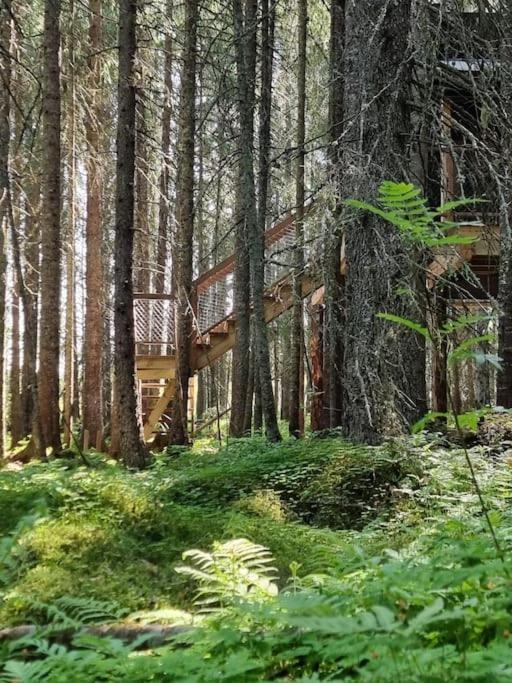 莱旺厄尔 Treetop Ekne - Hytte I Skogen Med Hengebru酒店 外观 照片